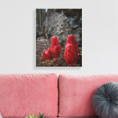 Sneeuwbloesems Canvas Afdruk (Insitu (Woonkamer))