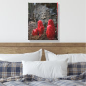 Sneeuwbloesems Canvas Afdruk (Insitu (Slaapkamer))