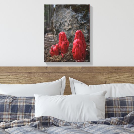 Sneeuwbloesems Canvas Afdruk (Insitu (Slaapkamer))