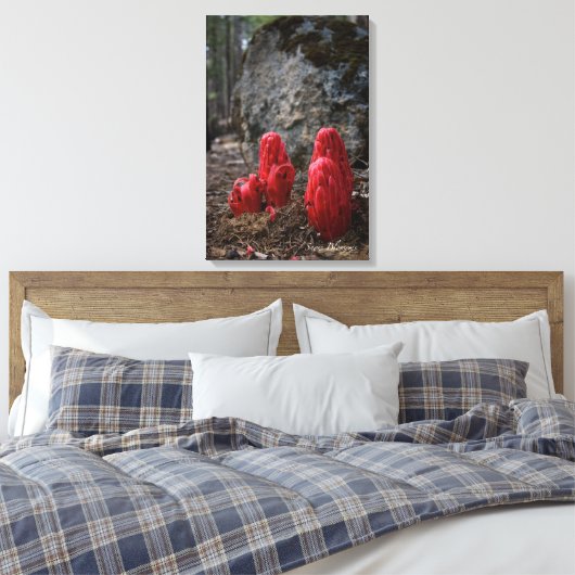 Sneeuwbloesems Canvas Afdruk (Insitu (Slaapkamer))