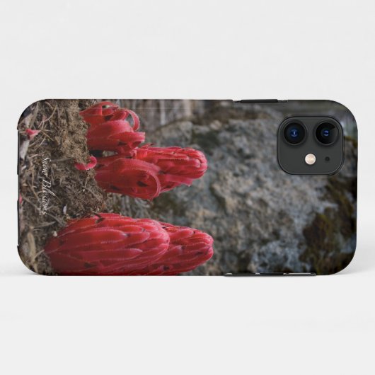 Sneeuwbloesems Case-Mate iPhone Case (Achterkant (horizontaal))