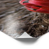 Sneeuwbloesems Foto Afdruk (Hoek)