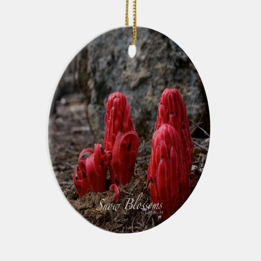 Sneeuwbloesems Keramisch Ornament (Rechts)