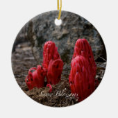 Sneeuwbloesems Keramisch Ornament (Voorkant)