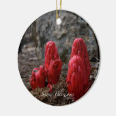 Sneeuwbloesems Keramisch Ornament (Links)