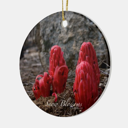 Sneeuwbloesems Keramisch Ornament (Links)