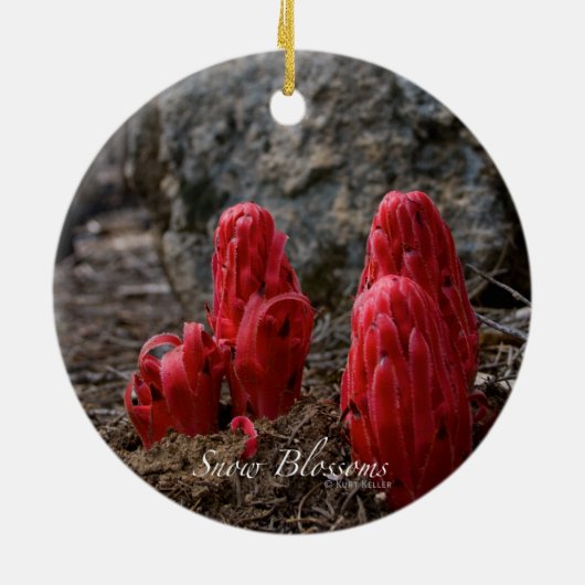 Sneeuwbloesems Keramisch Ornament (Achterkant)