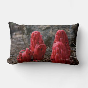 Sneeuwbloesems Kussen