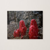 Sneeuwbloesems Legpuzzel (Horizontaal)