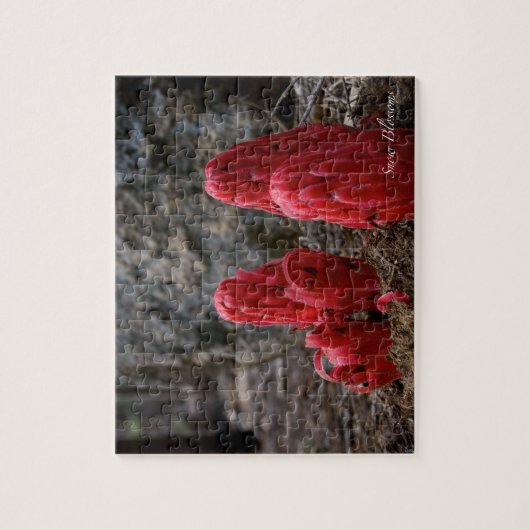 Sneeuwbloesems Legpuzzel (Verticaal)