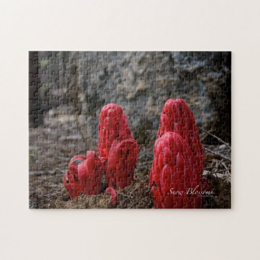 Sneeuwbloesems Legpuzzel (Horizontaal)