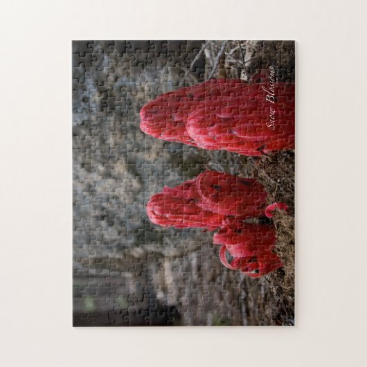 Sneeuwbloesems Legpuzzel (Verticaal)