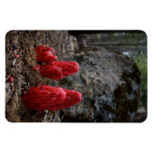 Sneeuwbloesems Magneet (Horizontaal)