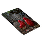 Sneeuwbloesems Magneet (Rechterzijde)