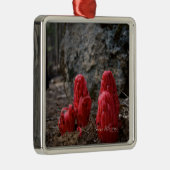 Sneeuwbloesems Metalen Ornament (Rechts)