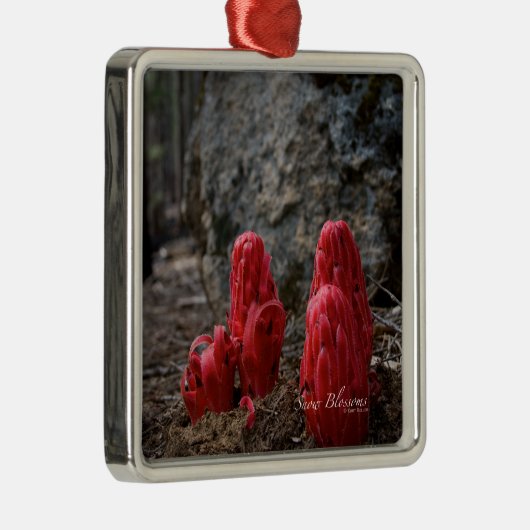 Sneeuwbloesems Metalen Ornament (Rechts)