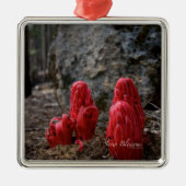 Sneeuwbloesems Metalen Ornament (Voorkant)