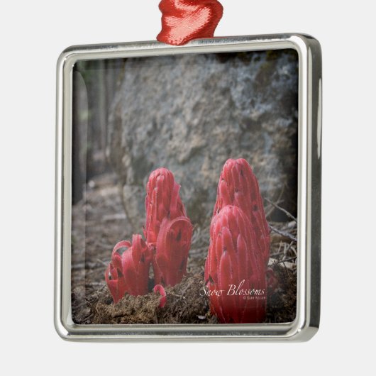 Sneeuwbloesems Metalen Ornament (Links)