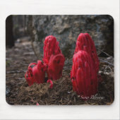 Sneeuwbloesems Muismat (Voorkant)