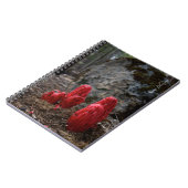 Sneeuwbloesems Notitieboek (Linkerzijde)