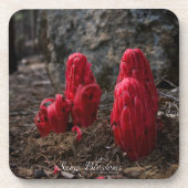 Sneeuwbloesems Onderzetter (Voorkant)