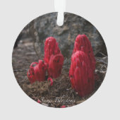 Sneeuwbloesems Ornament (achterkant)