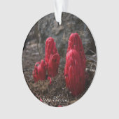 Sneeuwbloesems Ornament (voorkant)