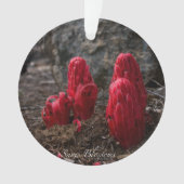 Sneeuwbloesems Ornament (voorkant)