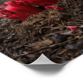 Sneeuwbloesems Poster (Hoek)