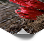 Sneeuwbloesems Poster (Hoek)