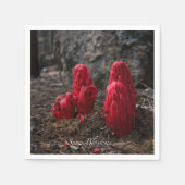 Sneeuwbloesems Servetten (Voorkant)