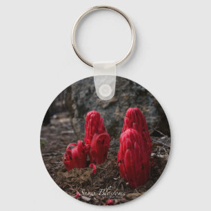 Sneeuwbloesems Sleutelhanger