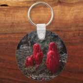 Sneeuwbloesems Sleutelhanger (Voorkant)