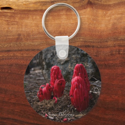 Sneeuwbloesems Sleutelhanger (Voorkant)