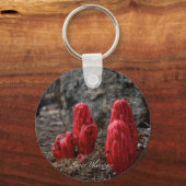 Sneeuwbloesems Sleutelhanger (Voorkant)