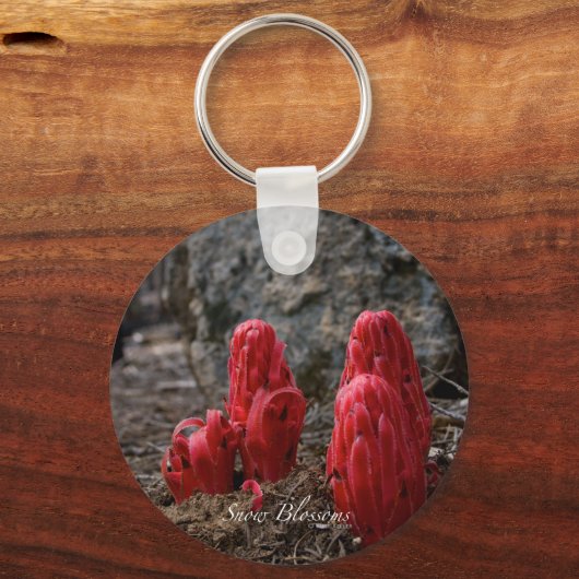 Sneeuwbloesems Sleutelhanger (Voorkant)