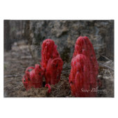 Sneeuwbloesems Snijplank (Voorkant)