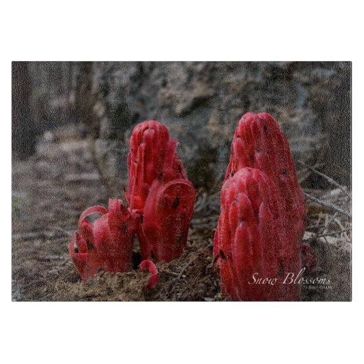 Sneeuwbloesems Snijplank (Voorkant)