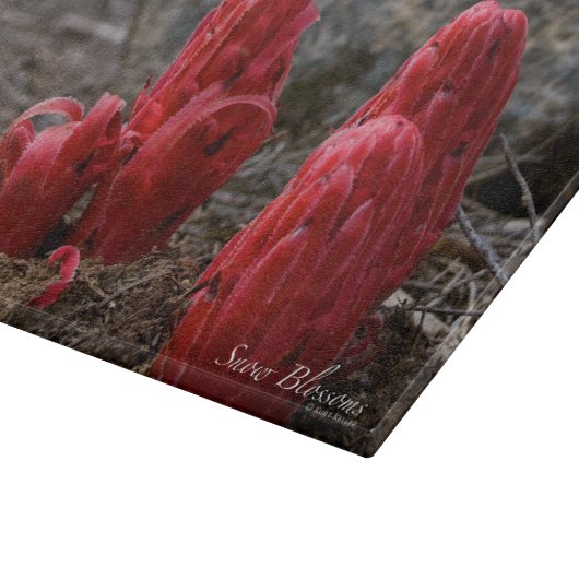 Sneeuwbloesems Snijplank (Hoek)