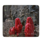 Sneeuwbloesems Snijplank (Voorkant)