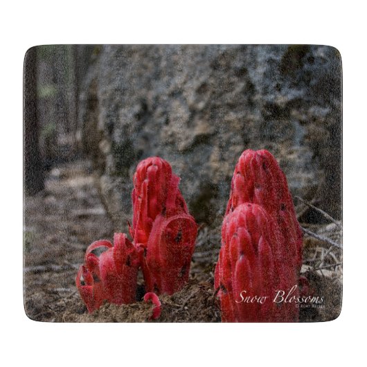 Sneeuwbloesems Snijplank (Voorkant)