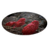 Sneeuwbloesems Snijplank (Hoek)