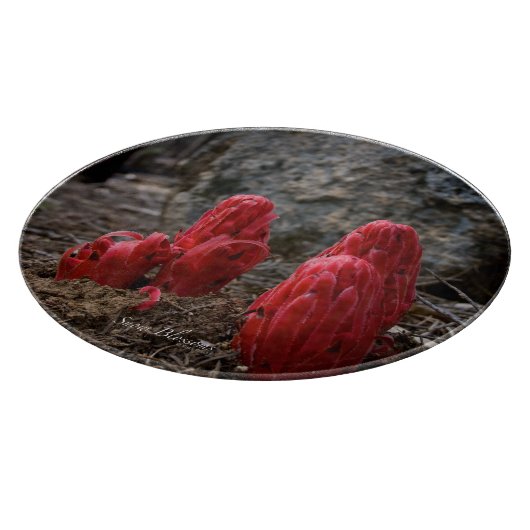 Sneeuwbloesems Snijplank (Hoek)