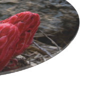 Sneeuwbloesems Snijplank (Hoek)