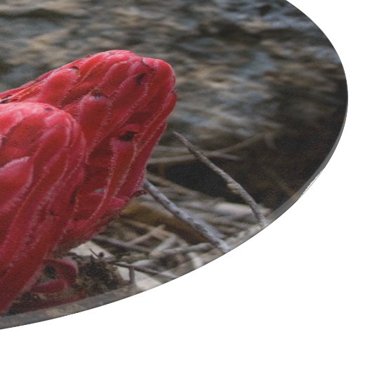 Sneeuwbloesems Snijplank (Hoek)