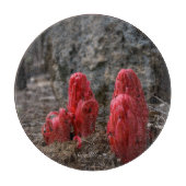 Sneeuwbloesems Snijplank (Voorkant)