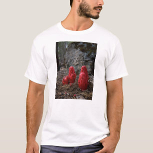 Sneeuwbloesems T-shirt