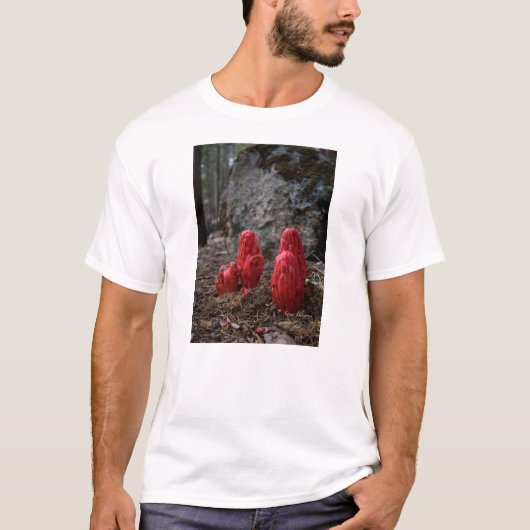 Sneeuwbloesems T-shirt (Voorkant)