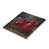 Sneeuwbloesems Tegeltje (Zijkant)