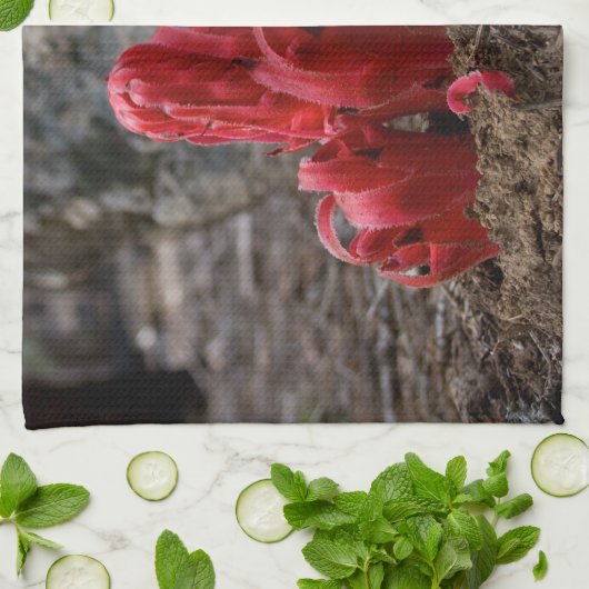 Sneeuwbloesems Theedoek (Gevouwen)